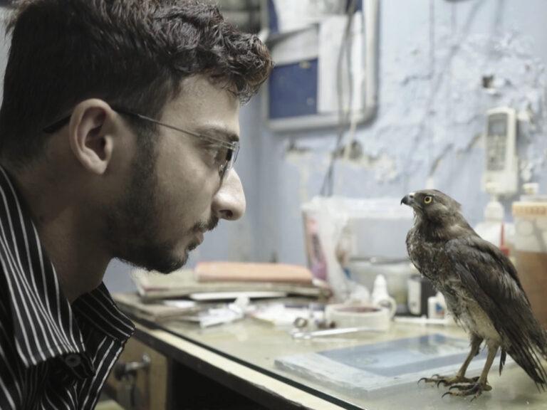 Shaunak Sen’s ‘All That Breathes’ Wins Topmost Prize At Sundance 2022