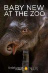 Baby New at the Zoo Movie Streaming Online