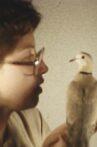 Bird Movie Streaming Online