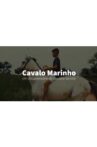 Cavalo Marinho Movie Streaming Online