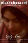 Kiraz Çiçekleri Movie Streaming Online