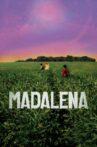 Madalena Movie Streaming Online
