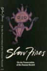 Slow Fires: On the Preservation of the Human Record Movie Streaming Online