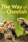 The Way of the Cheetah Movie Streaming Online