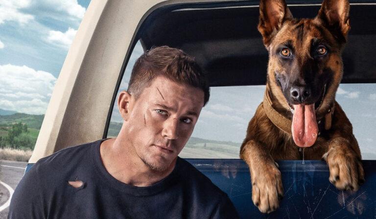 Channing Tatum’s Dog Is a Box Office Winner!