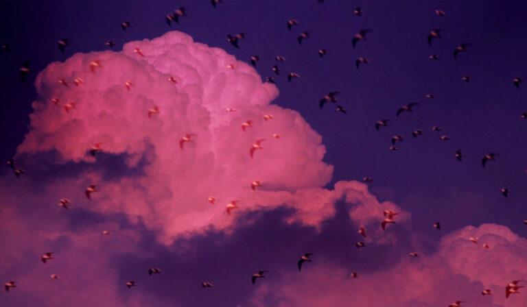 ‘Jamnapaar’ a Relevant Documentary Short Now Streaming on Mubi India