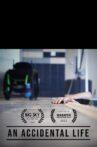 An Accidental Life Movie Streaming Online