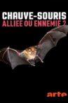 Chauve-souris: alliée ou ennemie? Movie Streaming Online
