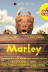 Marley Movie Streaming Online