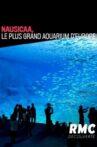 Nausicaa, le plus grand aquarium d'Europe Movie Streaming Online