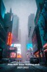 New York Snow Walk 2021-2022 Movie Streaming Online