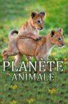 Planète Animale Movie Streaming Online