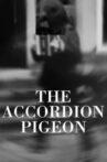The Accordion Pigeon Movie Streaming Online