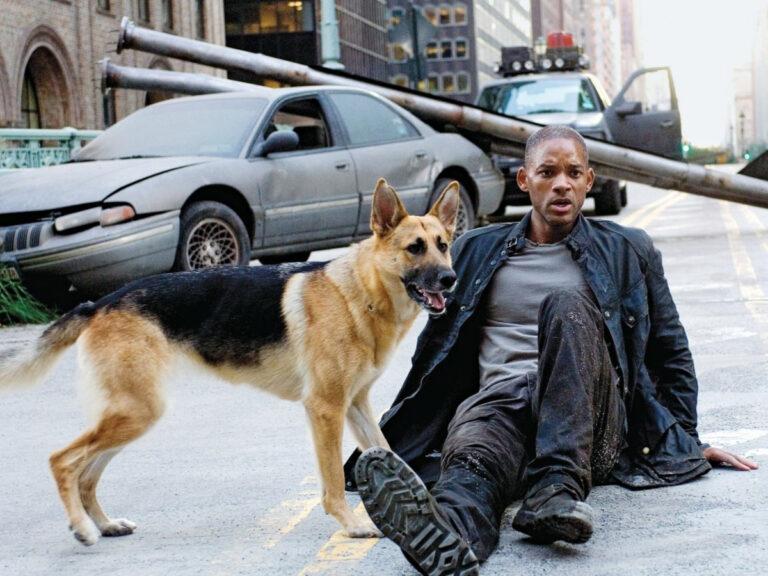 I Am Legend Sequel: Why Fans Are Not Sure About Will Smith Starrer?