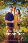 Love Under the Lemon Tree Movie Streaming Online
