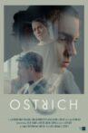 Ostrich Movie Streaming Online