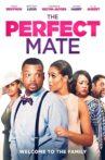 The Perfect Mate Movie Streaming Online