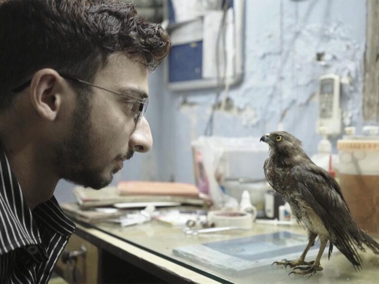 ‘All That Breathes’ Lone Indian Film In Starry Cannes 2022 Lineup