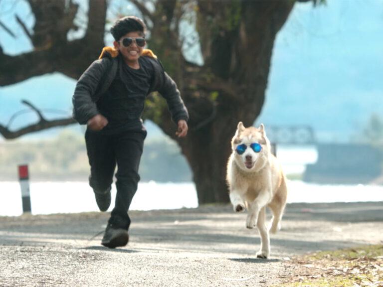 Oh My Dog Trailer: Cuteness Spiced With Tragedy And Power