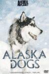 Alaska Dogs Movie Streaming Online