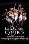 Le lac des cygnes au théâtre national de Chaillot Movie Streaming Online