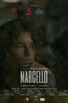Marcello Movie Streaming Online