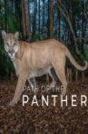 Path of the Panther Movie Streaming Online