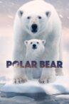 Polar Bear Movie Streaming Online