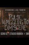 the GazettE STANDING LIVE TOUR 14 HERESY LIMITED -  PULSE WRIGGLING TO DIM SCENE - SCENE 02 [STACKED RUBBISH × DIM] Movie Streaming Online