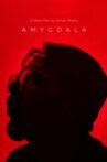 Amygdala Movie Streaming Online