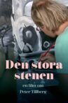 Den stora stenen Movie Streaming Online