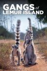 Gangs of Lemur Island Movie Streaming Online