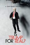 Is Trump for Real? Movie Streaming Online