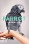 Parrot Confidential Movie Streaming Online