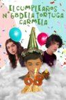 The 68th Birthday of Carmela, The Tortoise Movie Streaming Online