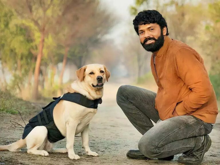 This Kannada Film Has Outranked RRR On IMDb & It’s Not KGF-2