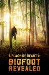 A Flash of Beauty: Bigfoot Revealed Movie Streaming Online