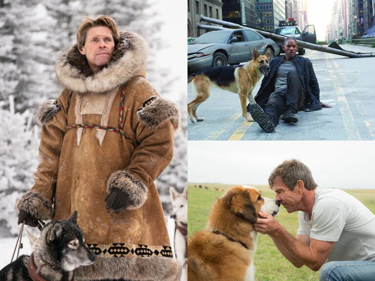 Top 5 Dog Movies To Stream Before Watching 777 Charlie