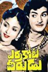 Errakota Veerudu Movie Streaming Online