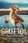 Grutto! De Reis van onze Nationale Vogel Movie Streaming Online