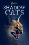 Shadow Cats Movie Streaming Online
