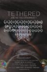 Tethered, Are We the Experiment? Movie Streaming Online