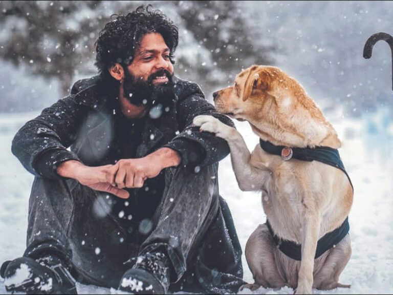 Kannada Film Cracks Letterboxd Global List Post OTT Release