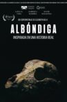 Albóndiga Movie Streaming Online