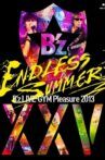 B'z LIVE-GYM Pleasure 2013 ENDLESS SUMMER -XXV BEST Movie Streaming Online