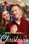 Destined at Christmas Movie Streaming Online