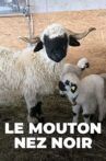 Moutons blancs, nez noirs - Les chouchous du Valais Movie Streaming Online
