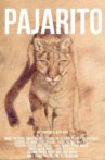 Pajarito Movie Streaming Online