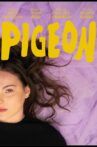 pigeon Movie Streaming Online