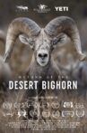 Return of the Desert Bighorn Movie Streaming Online